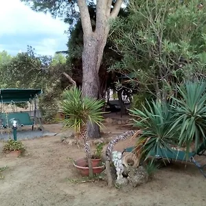 Bed and breakfast Il Vigneto, Capoterra